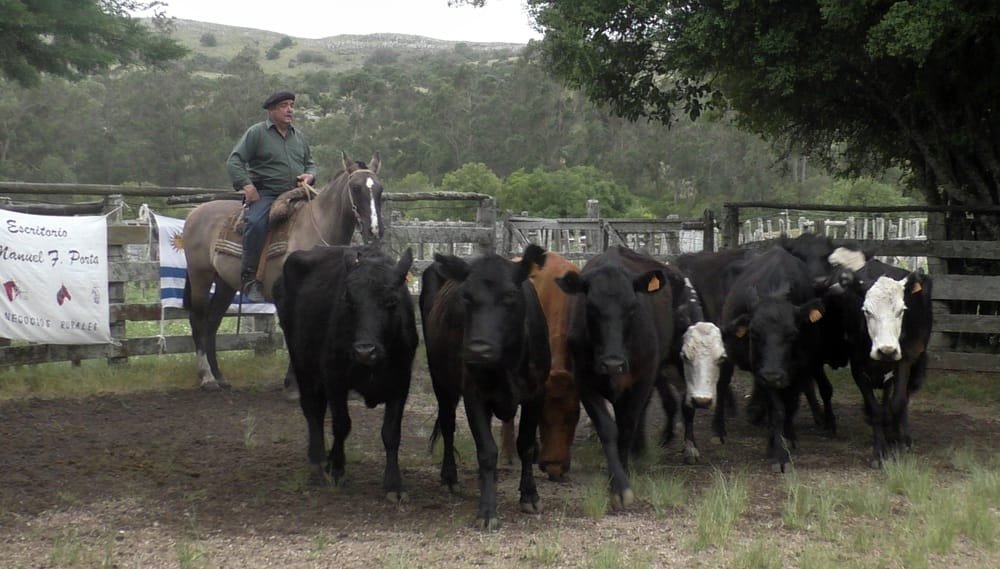 Con agilidad en La Querencia se colocó variada oferta.
