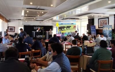 Lote 21 colocó el 97,3% de la oferta.