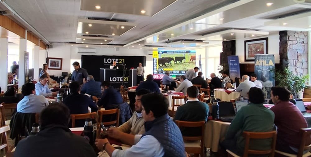 Lote 21 colocó el 97,3% de la oferta.