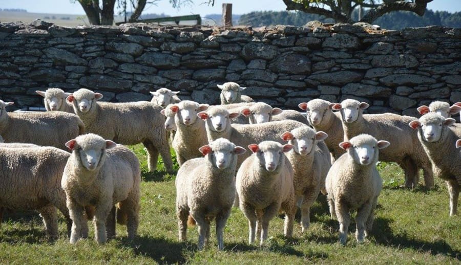 Se viene la gira 2025 de Ile de France.