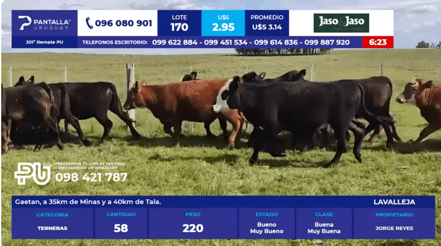 Pantalla Uruguay tuvo un remate firme y colocación del 91,82%