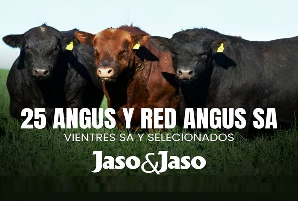 Jaso & Jaso cierra hoy la zafra con un gran remate.