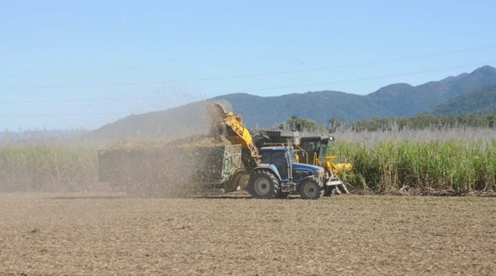 El etanol presiona la producción de caña de azúcar que en Brasil necesitará duplicarse.
