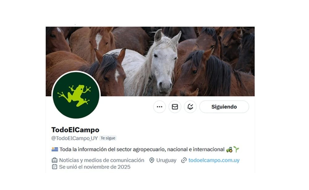 Todo El Campo tiene nueva cuenta de X.