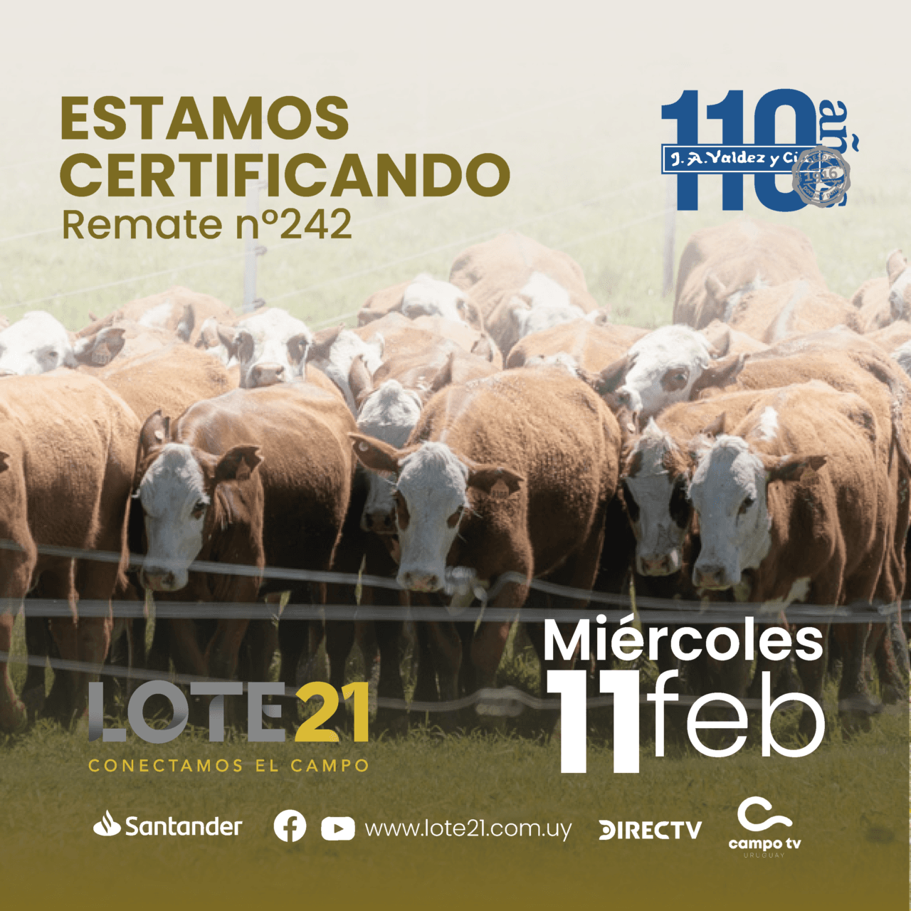 768x768-20 Valdez y cia