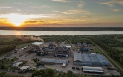 ALUR cerró la tercer mejor zafra de producción en toneladas de caña por hectárea.