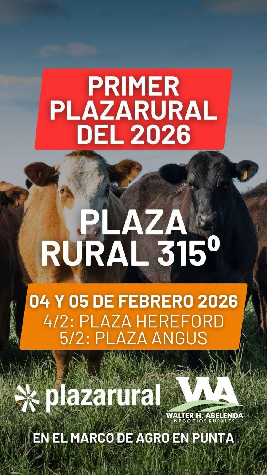 Abelenda 1 Plaza Rural