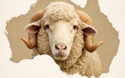 No solo Uruguay cae en cabezas de ovinos: Australia ajusta su majada.