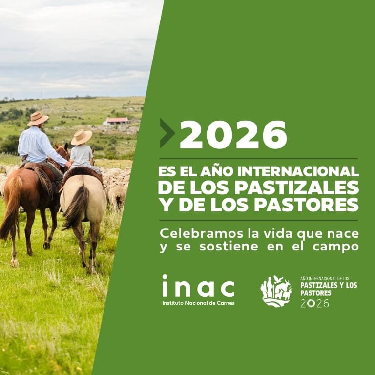 BANNER 2_ TodoElCampo_768x768_PASTIZALES INAC