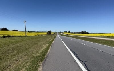 Colza y carinata: crece el área y los buenos precios.