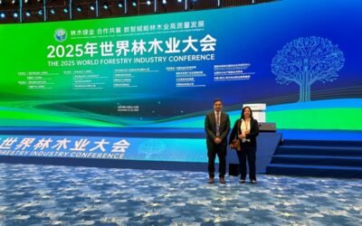 Uruguay participó de la conferencia sobre la industria forestal, en China.