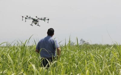 Los drones agrícolas están transformando la agricultura.