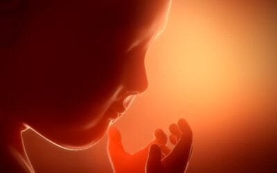 INAC celebra aprobación de ley de control de embarazo y complemento nutricional.