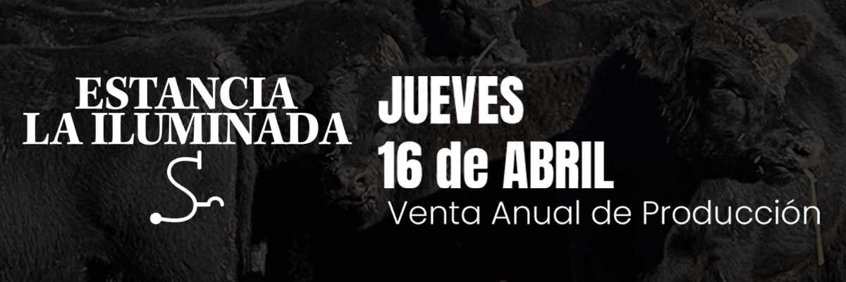 GIF-1200x400 (1) (2)