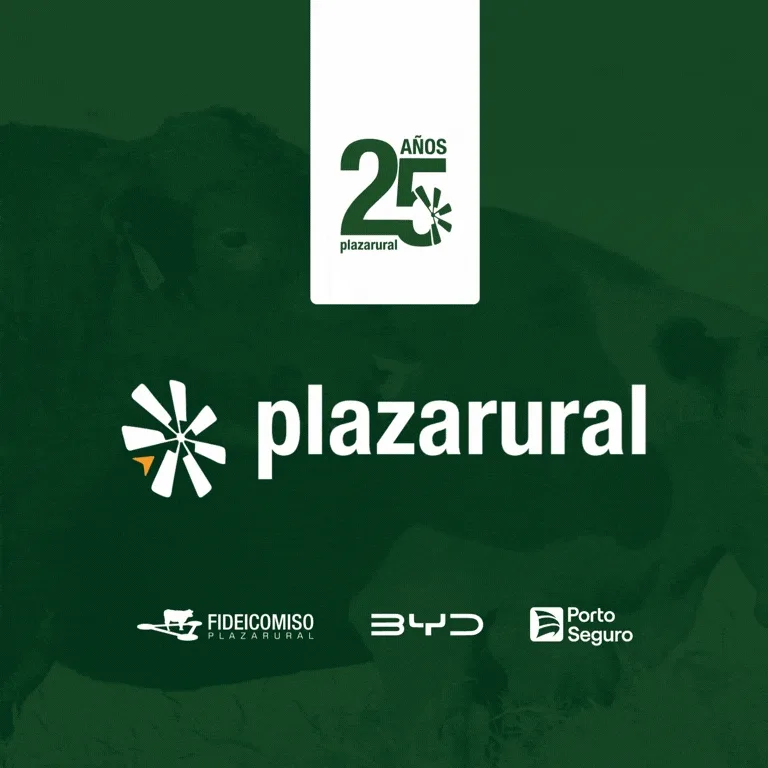 Plaza Rural