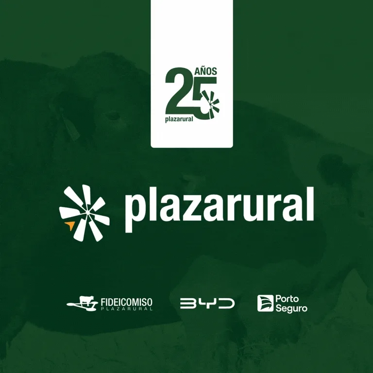 GIF NUM O Y V 10 - 768x768 Plaza Rural