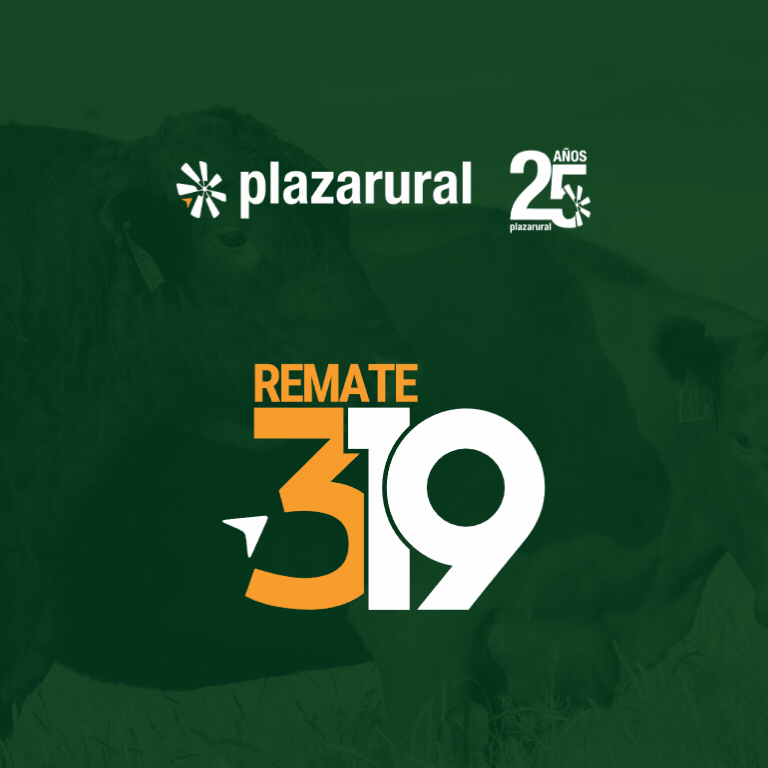 GIF NUM O Y V 10 - 768x768 Plaza Rural