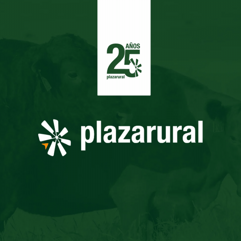 Plaza Rural