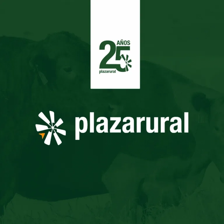 Plaza Rural