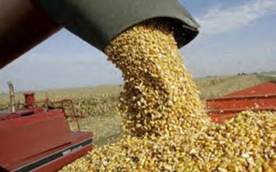 Paraguay. Exportaciones agropecuarias sostienen el crecimiento de la balanza comercial.