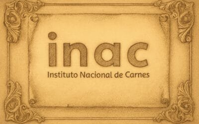 Exportación de carne superará los US$ 3.300 millones, por encima del récord de 2022.