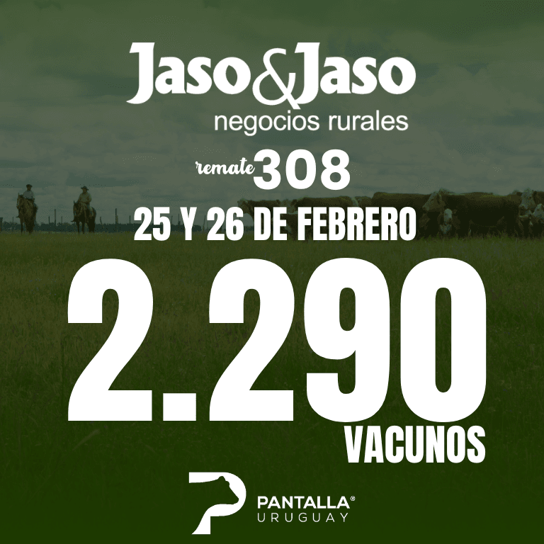 Jaso y Jaso