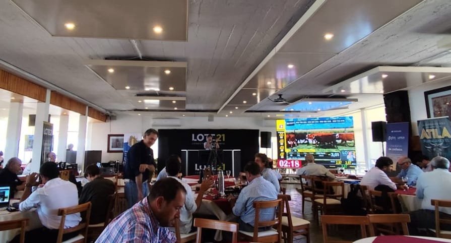 Con el 93% de ventas finalizó el remate de Lote 21.