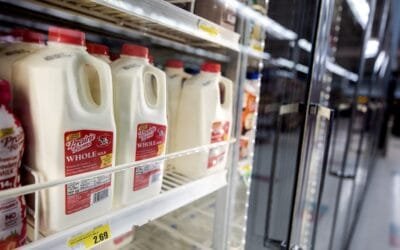 Los estadounidenses bebieron más leche en 2024, revirtiendo un declive de una década.