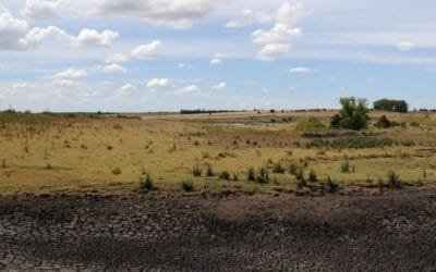 Se pide declarar la emergencia agropecuaria