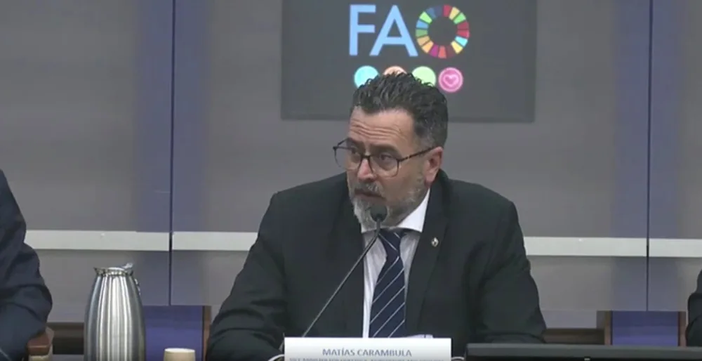 El gobierno monitorea la estabilidad del mercado aviar y proyecta fortalecer los seguros agrícolas.