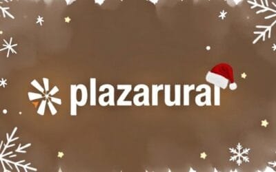 Plaza Rural cerró su remate 314 con firmeza y colocación casi total.