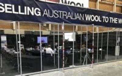 Firmeza en el mercado internacional de la lana.