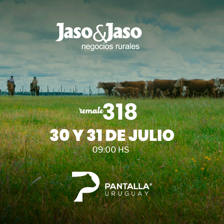 RG_Jaso