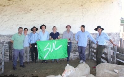 Campaña nacional de sanidad ovina del SUL: “Majada sana, menos trabajo”.