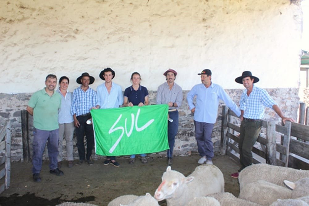 Campaña nacional de sanidad ovina del SUL: “Majada sana, menos trabajo”.