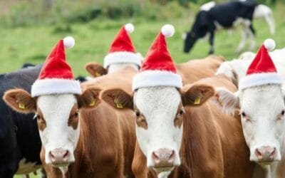 Lote 21 cierra el año con un gran remate.