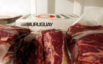 El Mercosur vendió mas y mejor carne