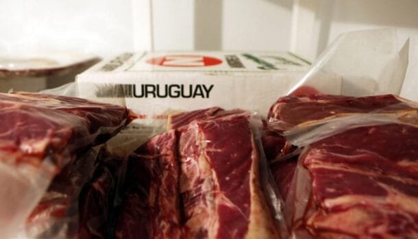 El Mercosur vendió mas y mejor carne