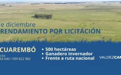A las 16.00 de hoy, apertura de sobres por arrendamiento de campo de Valdez & Cía.
