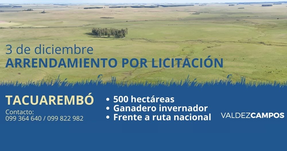 A las 16.00 de hoy, apertura de sobres por arrendamiento de campo de Valdez & Cía.