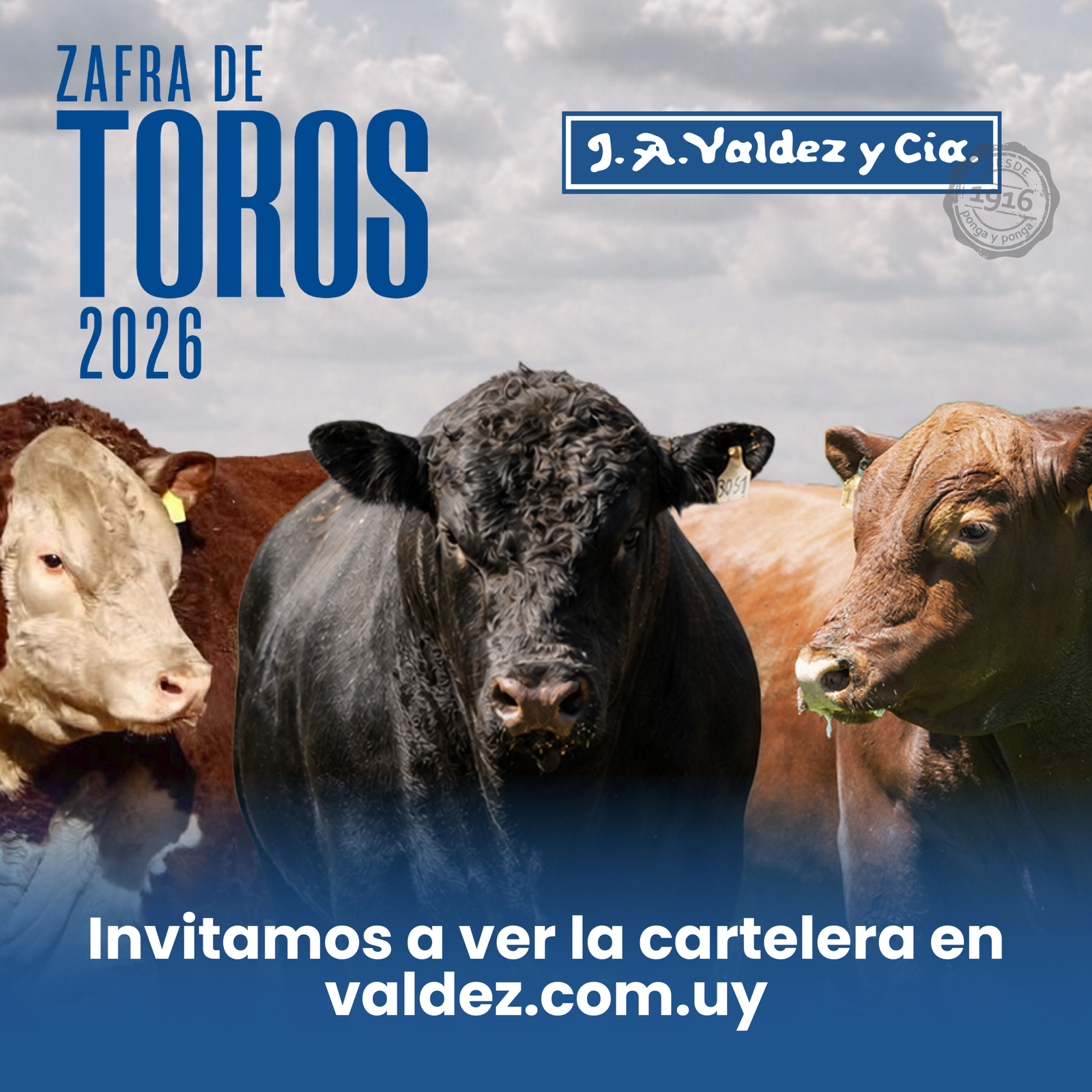 cuadrado zafra-10