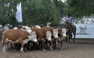 La agilidad pautó la pista de Cuchilla de Silvera.