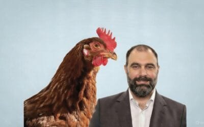 Bronquitis en aves: advierten sobre la necesidad de diagnóstico certero y trabajo conjunto en la avicultura.