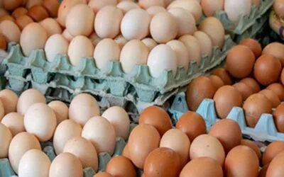 Brasil proyecta nuevos récords en proteína animal para 2025 y 2026.