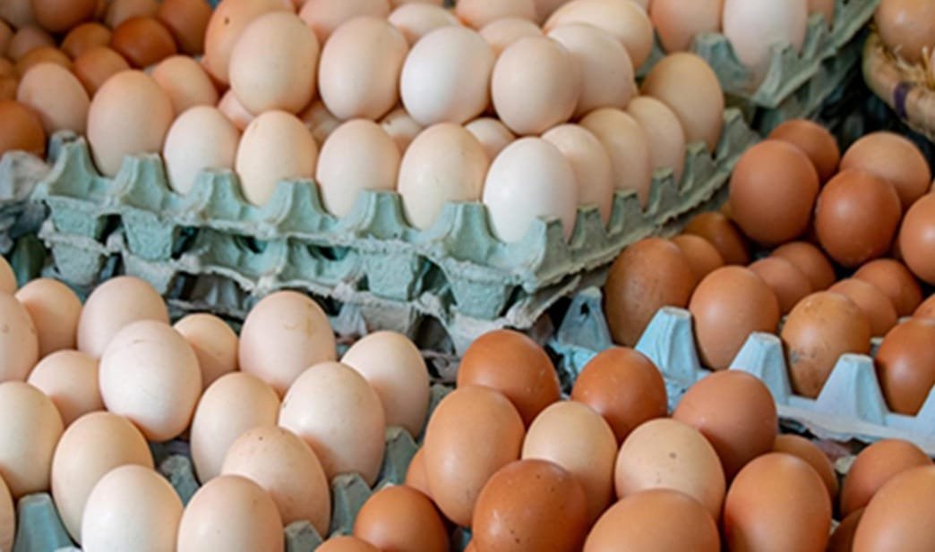 Brasil proyecta nuevos récords en proteína animal para 2025 y 2026.