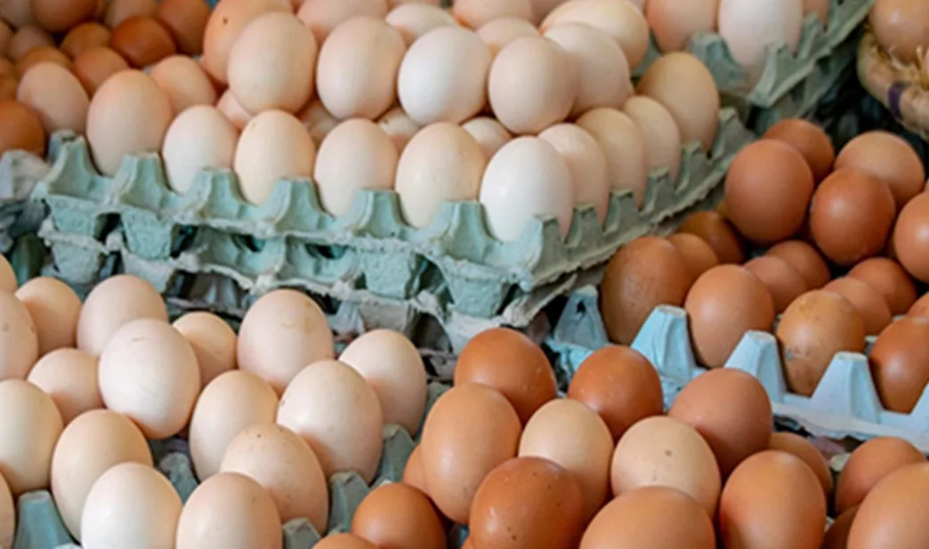 Global Eggs se consolida como la primera multinacional del huevo.