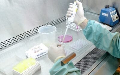 En los dos últimos años, Argentina aprobó la mayor cantidad de productos genéticamente modificados en su historia.