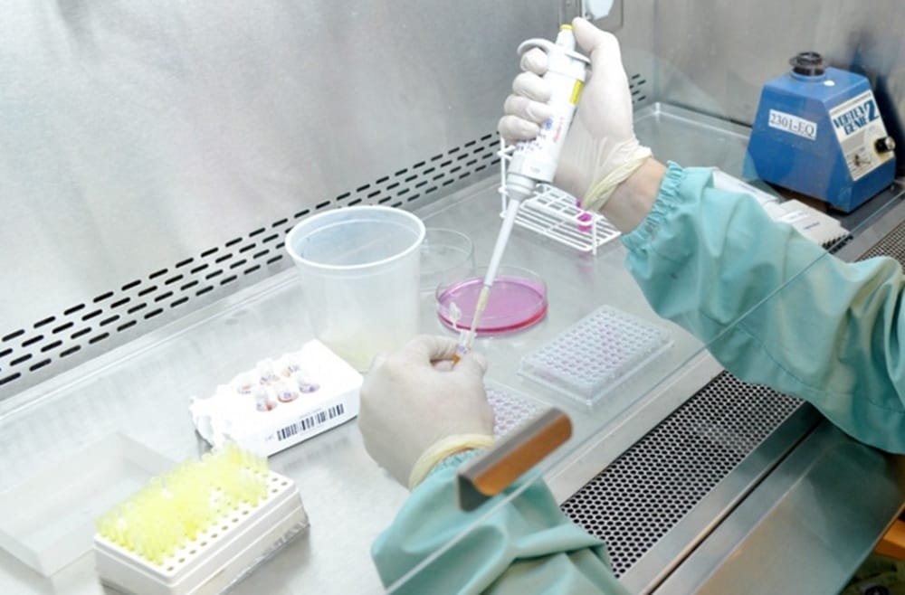 En los dos últimos años, Argentina aprobó la mayor cantidad de productos genéticamente modificados en su historia.