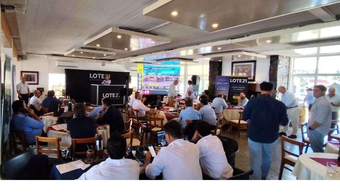 Lote 21 cerró el año con un gran remate.