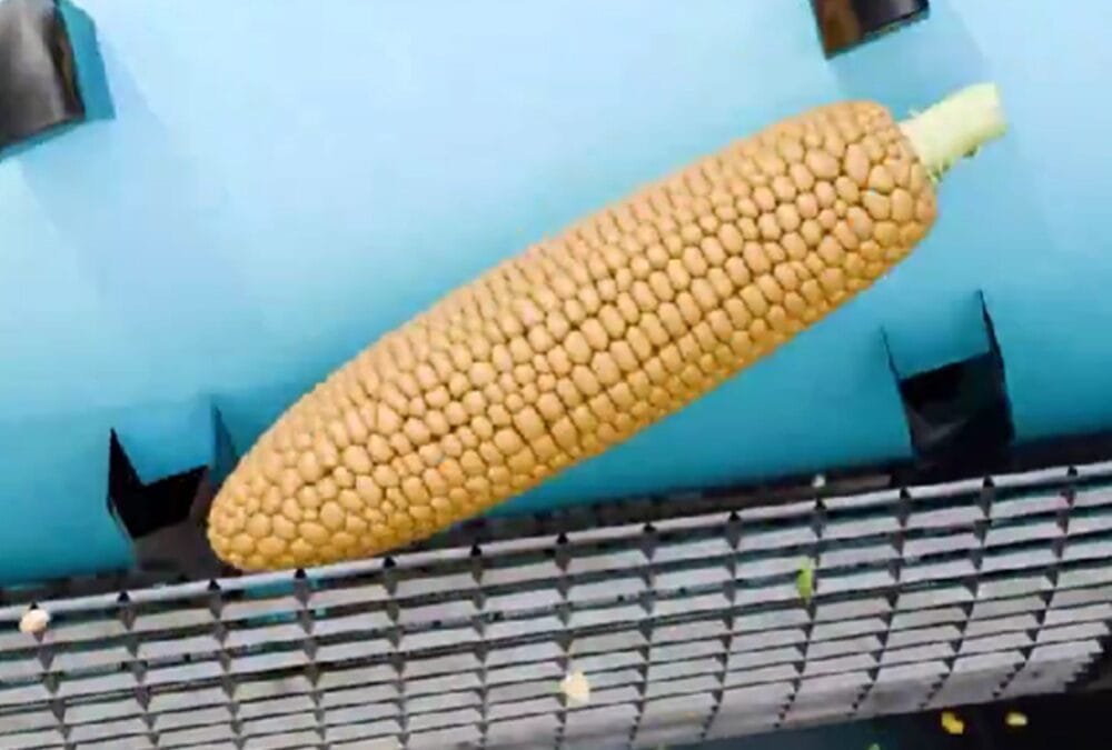 La eficiencia detrás de una cosechadora de maíz sorprende en redes sociales.